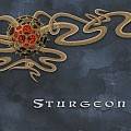 Sturgeon : The Darker Sequence